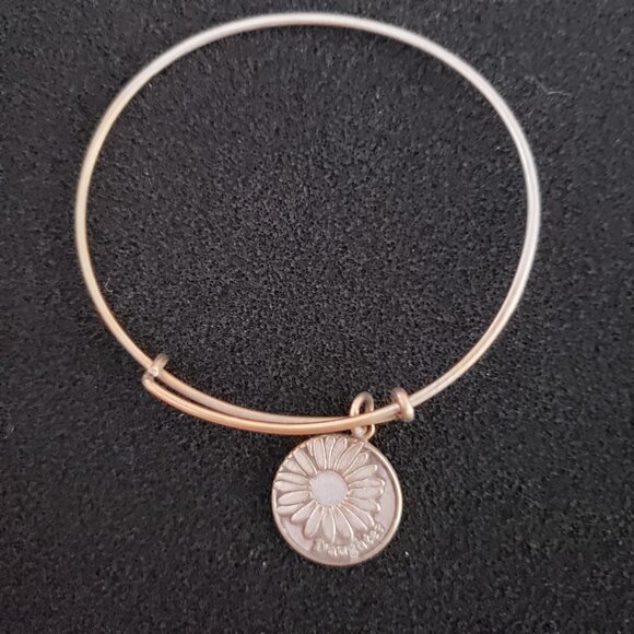 Alex and Ani Daughter 2 Tone? Charm Bracelet  Bangle     33 - Picture 2 of 3